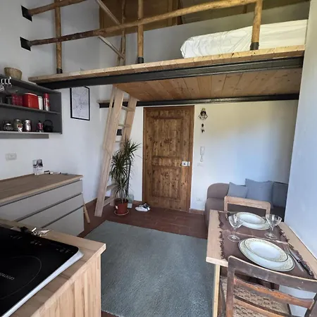 Rustico Monolocale Soppalcato A * Floransa